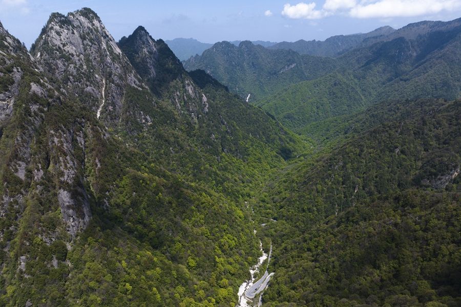 678体育官网页版学习进行时｜“绿水青山就是金山银山”——习推动生态环境保护的故(图7)